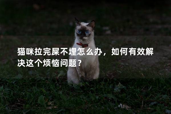 猫咪拉完屎不埋怎么办，如何有效解决这个烦恼问题？