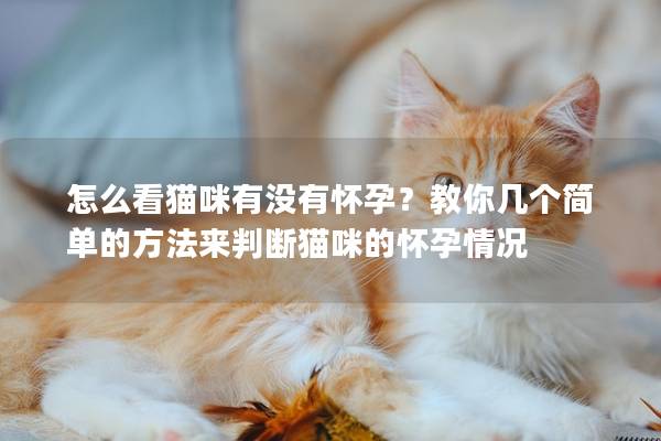 怎么看猫咪有没有怀孕？教你几个简单的方法来判断猫咪的怀孕情况