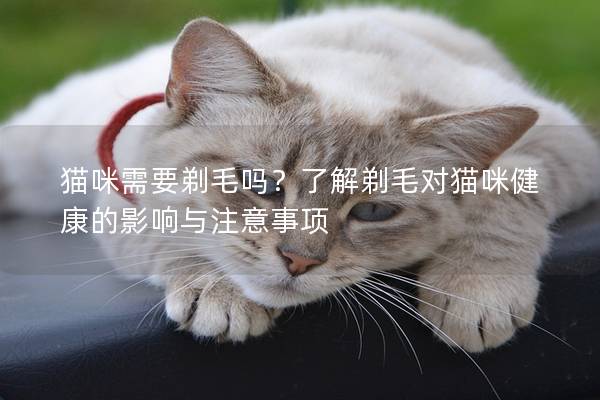 猫咪需要剃毛吗？了解剃毛对猫咪健康的影响与注意事项