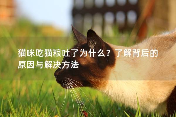 猫咪吃猫粮吐了为什么？了解背后的原因与解决方法