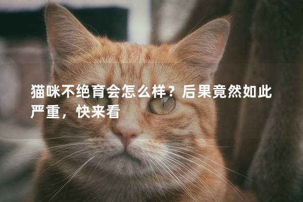 猫咪不绝育会怎么样？后果竟然如此严重，快来看