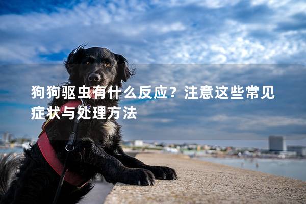 狗狗驱虫有什么反应？注意这些常见症状与处理方法