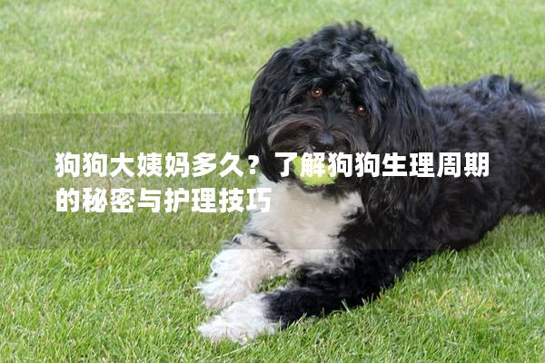 狗狗大姨妈多久？了解狗狗生理周期的秘密与护理技巧