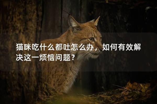 猫咪吃什么都吐怎么办，如何有效解决这一烦恼问题？