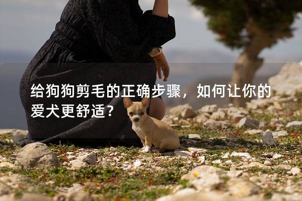 给狗狗剪毛的正确步骤，如何让你的爱犬更舒适？