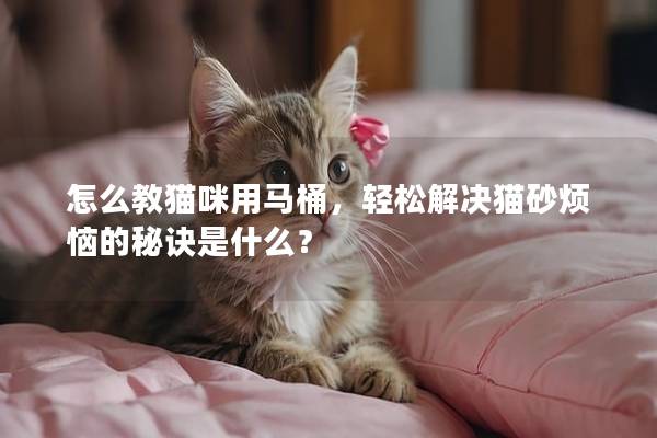 怎么教猫咪用马桶，轻松解决猫砂烦恼的秘诀是什么？