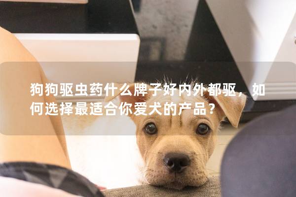 狗狗驱虫药什么牌子好内外都驱，如何选择最适合你爱犬的产品？