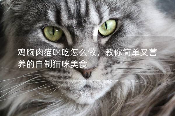 鸡胸肉猫咪吃怎么做，教你简单又营养的自制猫咪美食