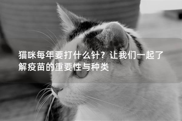 猫咪每年要打什么针？让我们一起了解疫苗的重要性与种类