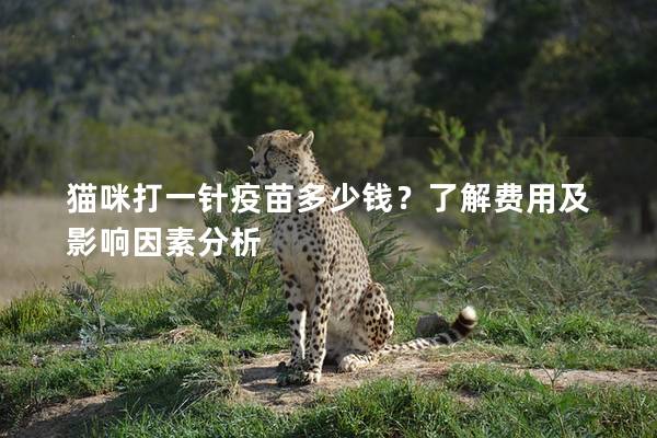 猫咪打一针疫苗多少钱？了解费用及影响因素分析