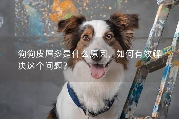 狗狗皮屑多是什么原因，如何有效解决这个问题？