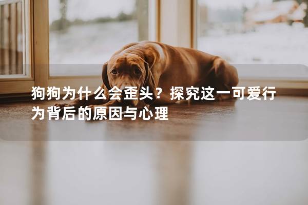 狗狗为什么会歪头？探究这一可爱行为背后的原因与心理