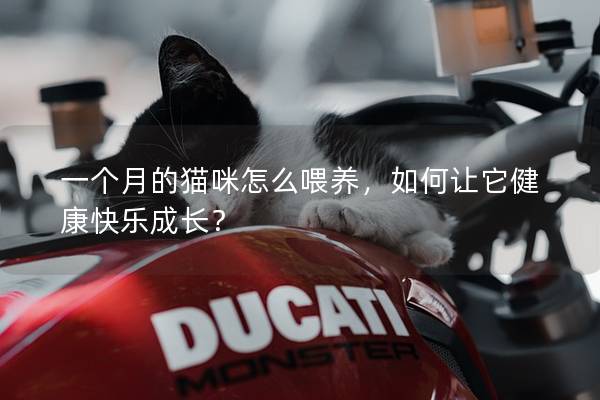 一个月的猫咪怎么喂养，如何让它健康快乐成长？