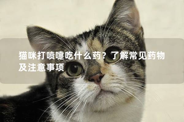 猫咪打喷嚏吃什么药？了解常见药物及注意事项