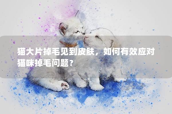 猫大片掉毛见到皮肤，如何有效应对猫咪掉毛问题？