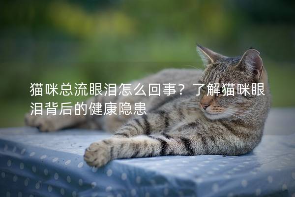 猫咪总流眼泪怎么回事？了解猫咪眼泪背后的健康隐患