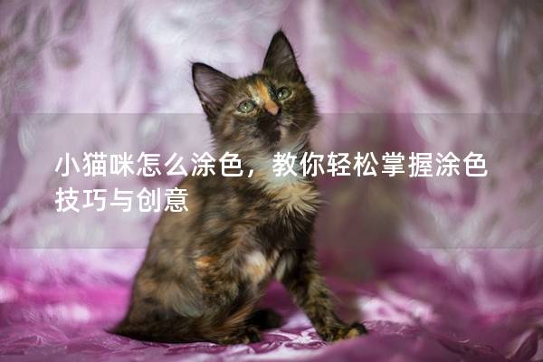 小猫咪怎么涂色，教你轻松掌握涂色技巧与创意