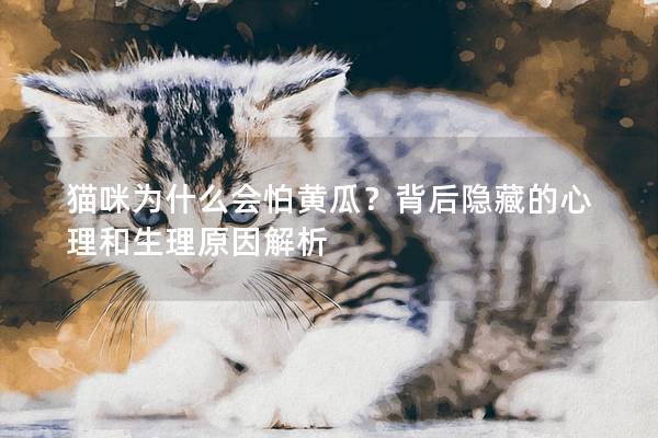 猫咪为什么会怕黄瓜？背后隐藏的心理和生理原因解析