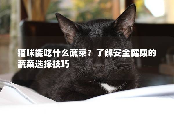 猫咪能吃什么蔬菜？了解安全健康的蔬菜选择技巧