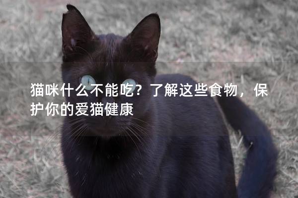 猫咪什么不能吃？了解这些食物，保护你的爱猫健康