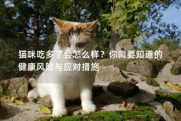 猫咪吃多了会怎么样？你需要知道的健康风险与应对措施