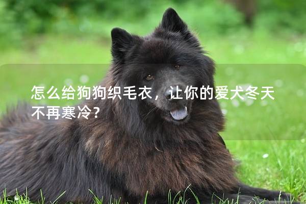 怎么给狗狗织毛衣，让你的爱犬冬天不再寒冷？