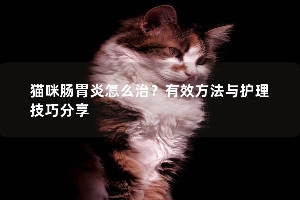 猫咪肠胃炎怎么治？有效方法与护理技巧分享