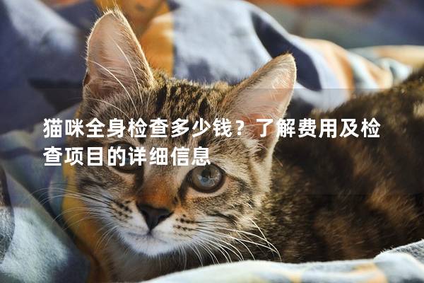 猫咪全身检查多少钱？了解费用及检查项目的详细信息