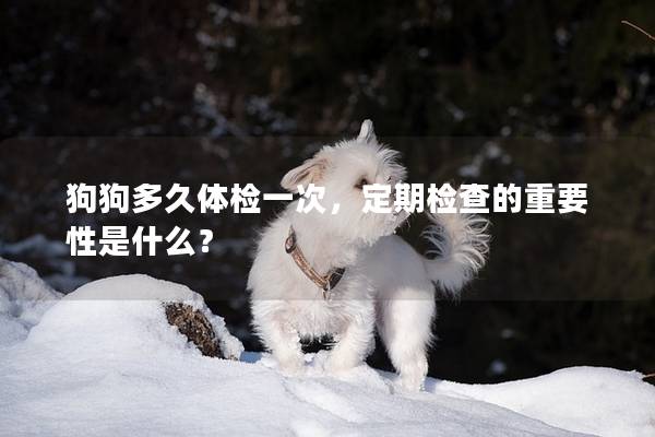 狗狗多久体检一次，定期检查的重要性是什么？