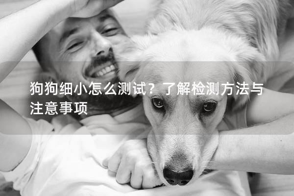 狗狗细小怎么测试？了解检测方法与注意事项