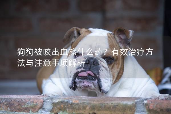 狗狗被咬出血擦什么药？有效治疗方法与注意事项解析