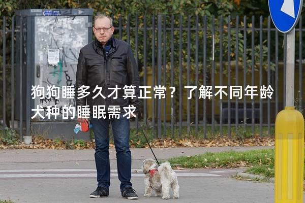 狗狗睡多久才算正常？了解不同年龄犬种的睡眠需求