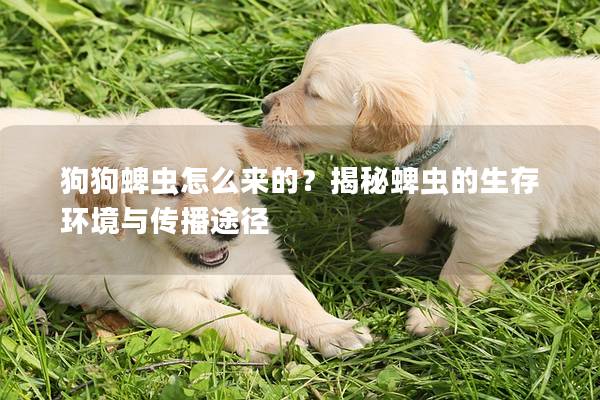 狗狗蜱虫怎么来的？揭秘蜱虫的生存环境与传播途径