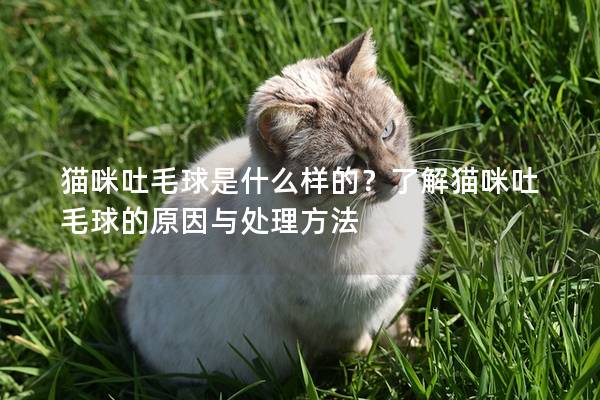 猫咪吐毛球是什么样的？了解猫咪吐毛球的原因与处理方法