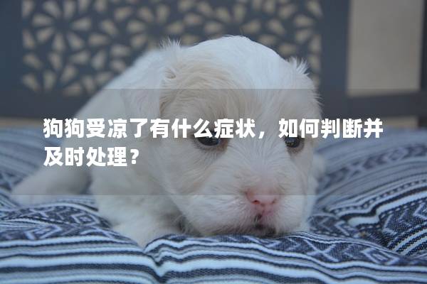 狗狗受凉了有什么症状，如何判断并及时处理？