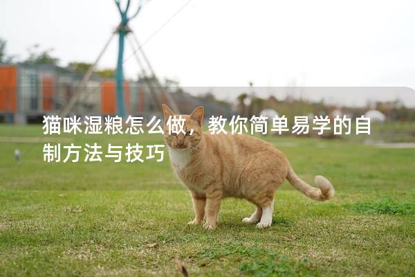 猫咪湿粮怎么做，教你简单易学的自制方法与技巧