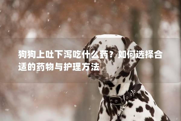 狗狗上吐下泻吃什么药？如何选择合适的药物与护理方法