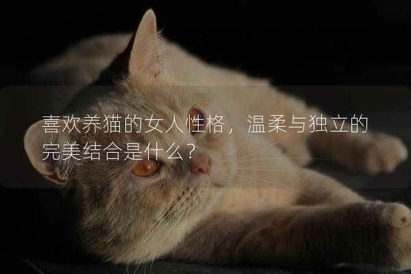 喜欢养猫的女人性格，温柔与独立的完美结合是什么？