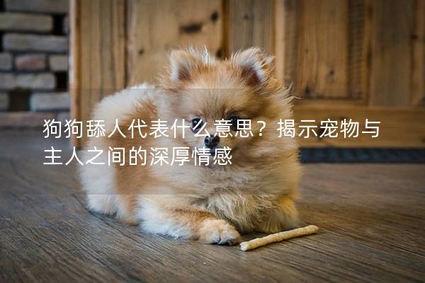 狗狗舔人代表什么意思？揭示宠物与主人之间的深厚情感