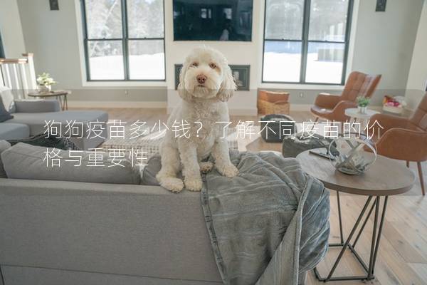 狗狗疫苗多少钱？了解不同疫苗的价格与重要性