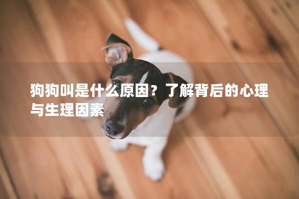 狗狗叫是什么原因？了解背后的心理与生理因素