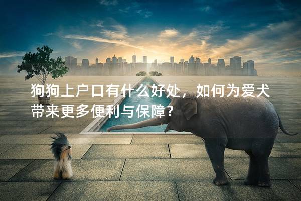 狗狗上户口有什么好处，如何为爱犬带来更多便利与保障？