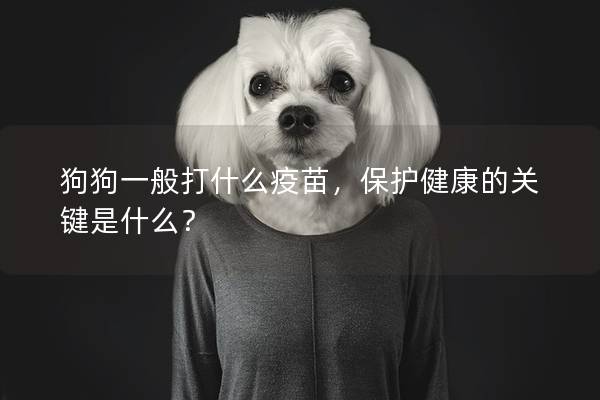 狗狗一般打什么疫苗，保护健康的关键是什么？