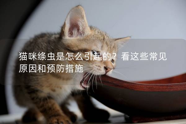 猫咪绦虫是怎么引起的？看这些常见原因和预防措施