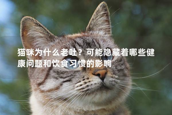 猫咪为什么老吐？可能隐藏着哪些健康问题和饮食习惯的影响