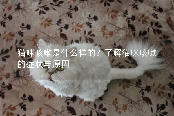 猫咪咳嗽是什么样的？了解猫咪咳嗽的症状与原因