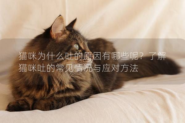 猫咪为什么吐的原因有哪些呢？了解猫咪吐的常见情况与应对方法