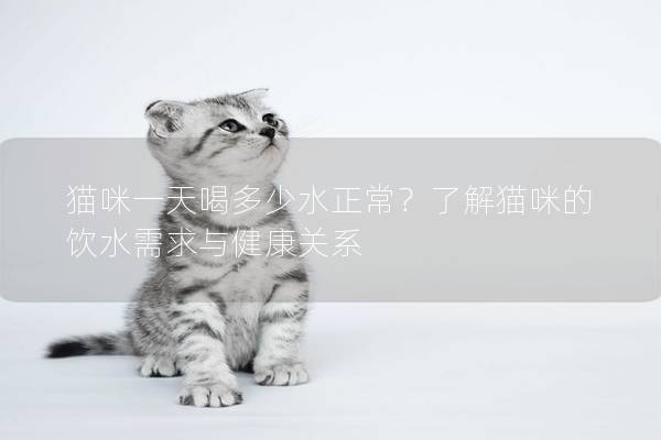 猫咪一天喝多少水正常？了解猫咪的饮水需求与健康关系