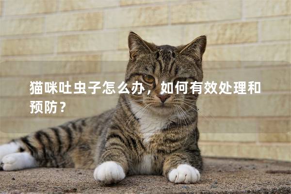 猫咪吐虫子怎么办，如何有效处理和预防？