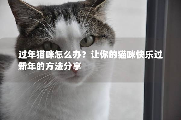 过年猫咪怎么办？让你的猫咪快乐过新年的方法分享